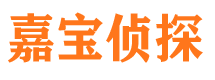 台江市调查公司